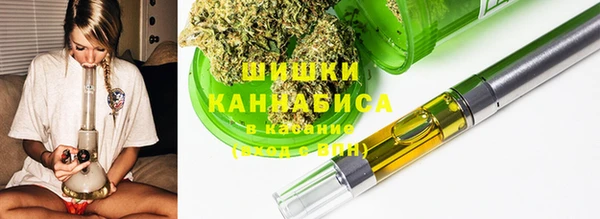 стаф Кинешма